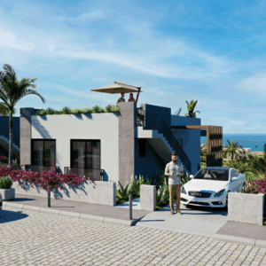 Olive Trees grafika główna